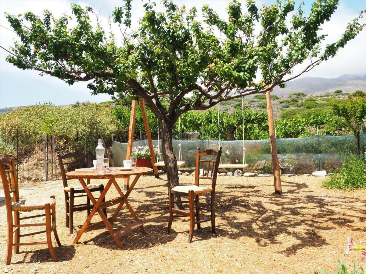 Traditional Cretan Villa Rodhopos Dış mekan fotoğraf