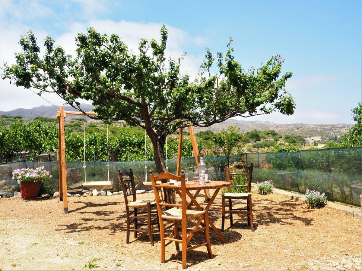 Traditional Cretan Villa Rodhopos Dış mekan fotoğraf